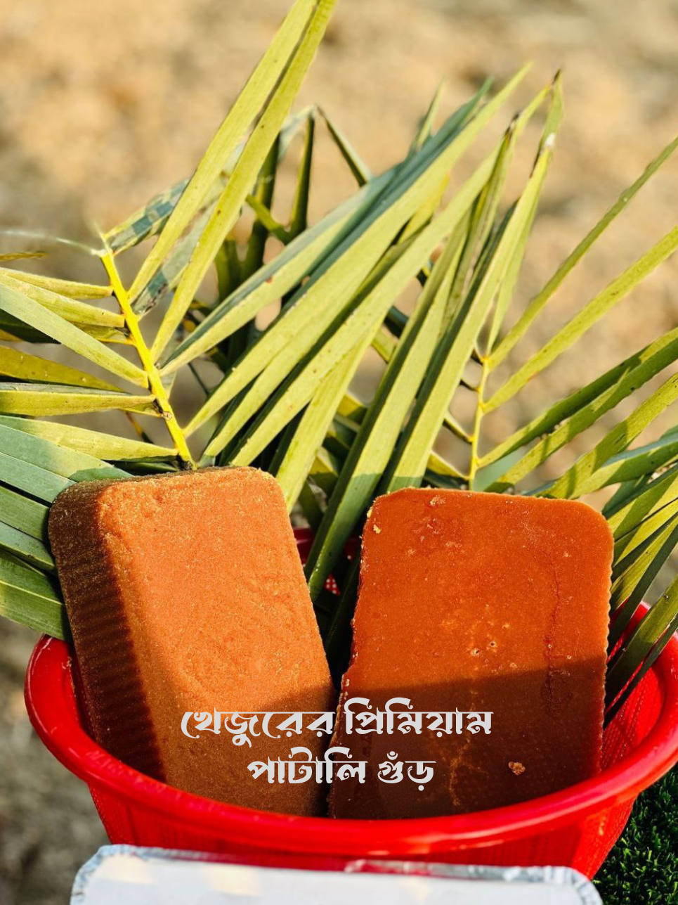 খেজুরের পাটালি গুঁড়